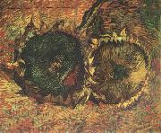 Vincent Van Gogh Two Cut Sunflowers (nn04) oil painting on canvas